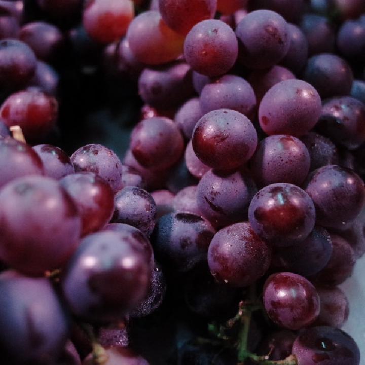 月食是怎样构成的